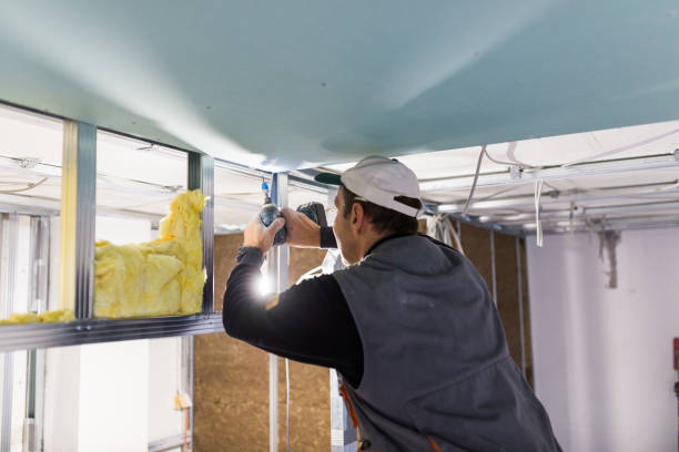 Best Commercial Insulation Services  in Hartford, AL